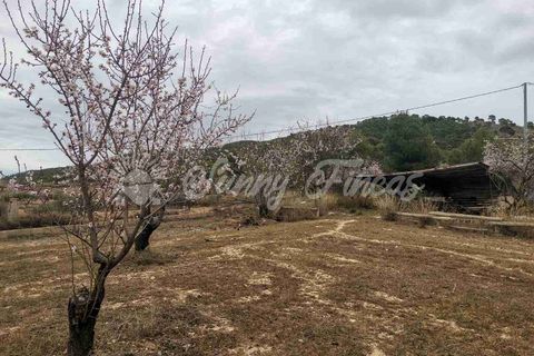 Landejendom i Yecla, Murcia, Yecla - € 119.995 | Ref: SF0443 - foto 40